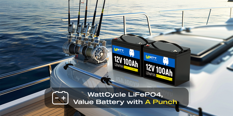 WattCycle LiFePO4, Value Battery with a Punch