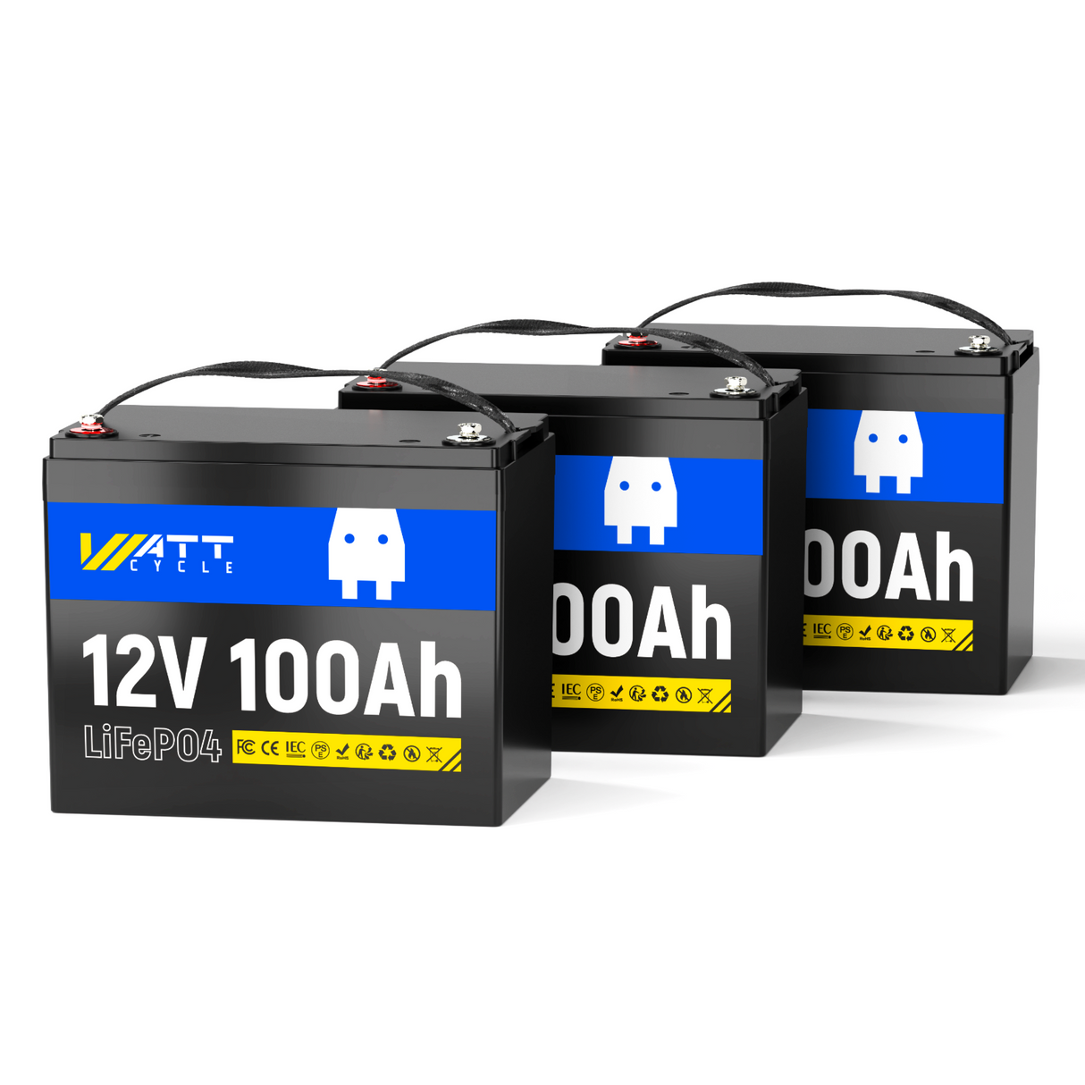 12V 100Ah Pro Group 31 LiFePO4 Battery