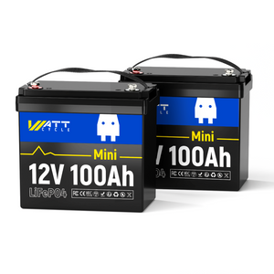 24V 100Ah Mini Battery Set