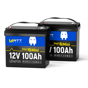 24V 100Ah Mini Smart Battery Set