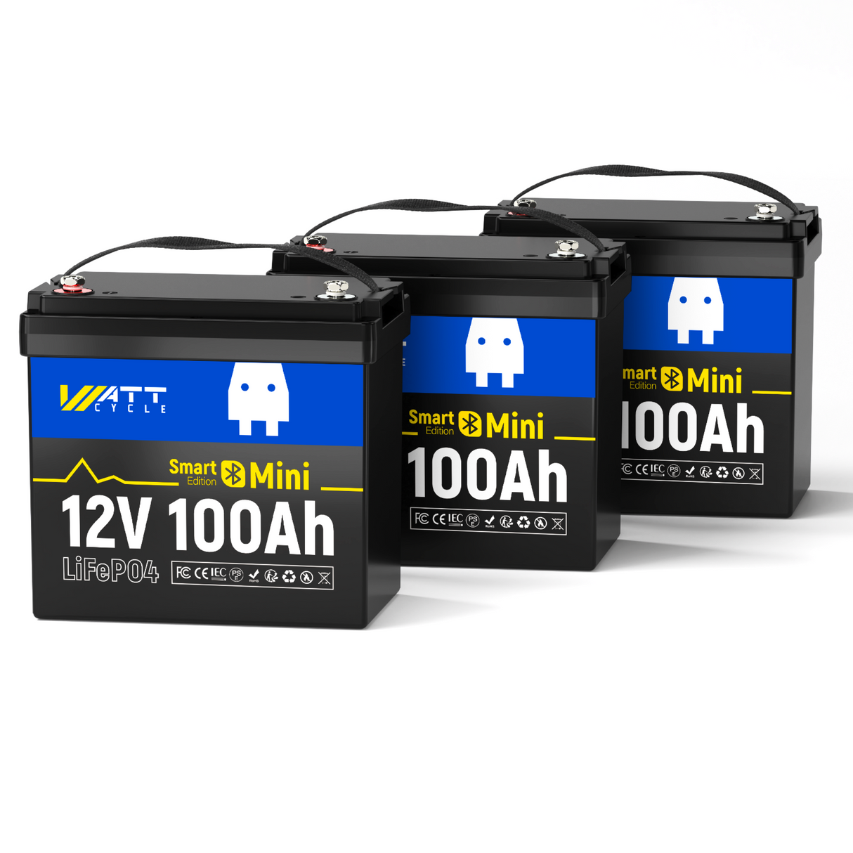 12V 100Ah Mini LiFePO4 Battery