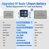 48V 100Ah Mini LiFePO4 Battery with Bluetooth Set