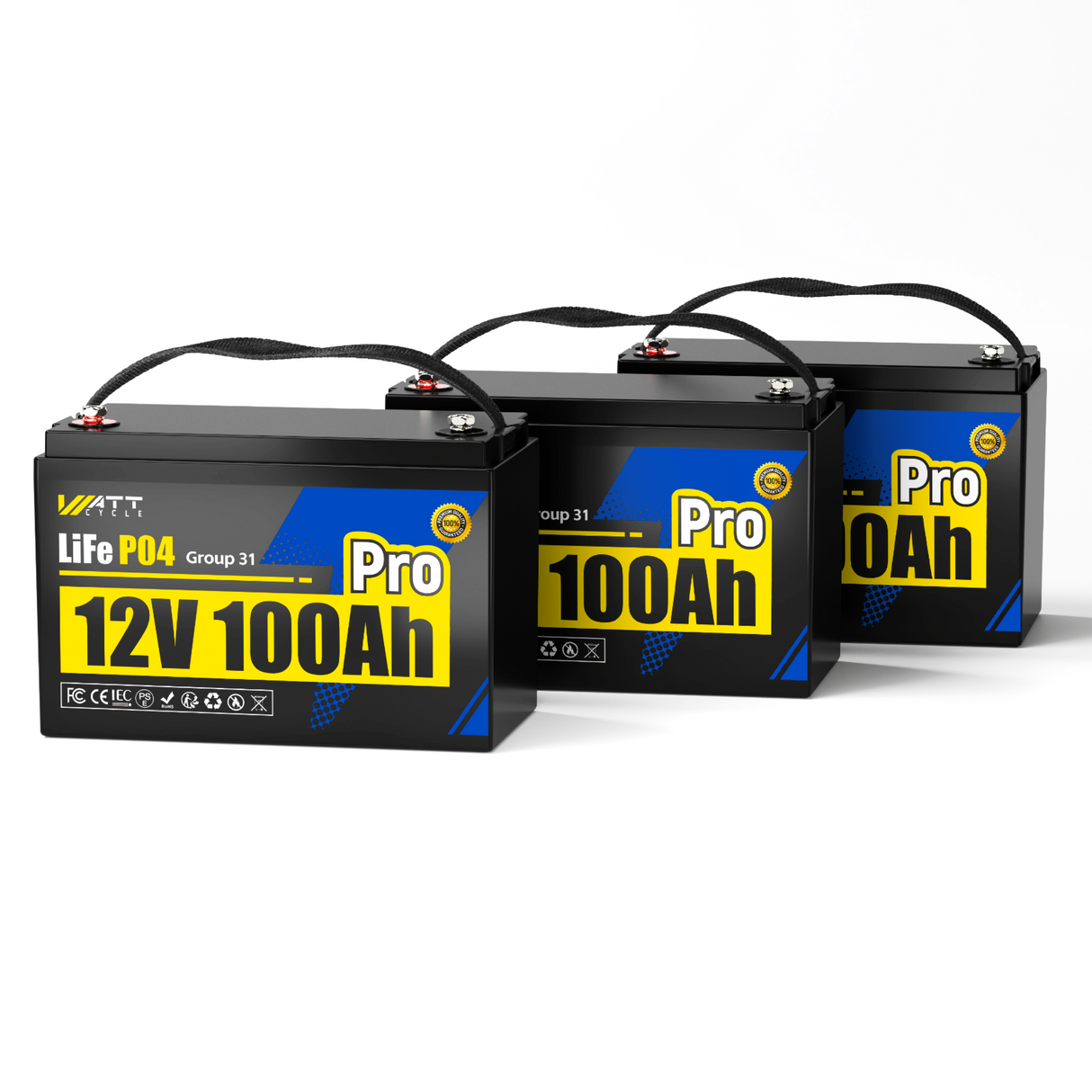 12V 100Ah LiFePO4 Battery (Group 24 / Group 31)