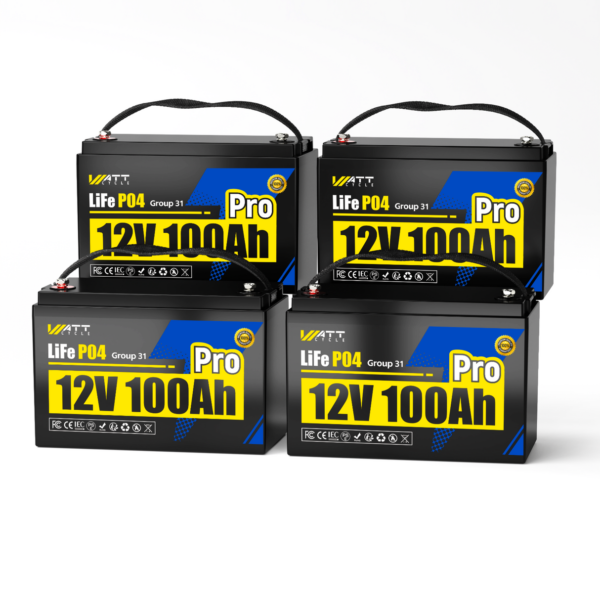 12V 100Ah LiFePO4 Battery (Group 24 / Group 31)