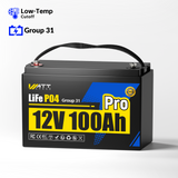 12V 100Ah LiFePO4 Battery (Group 24 / Group 31)