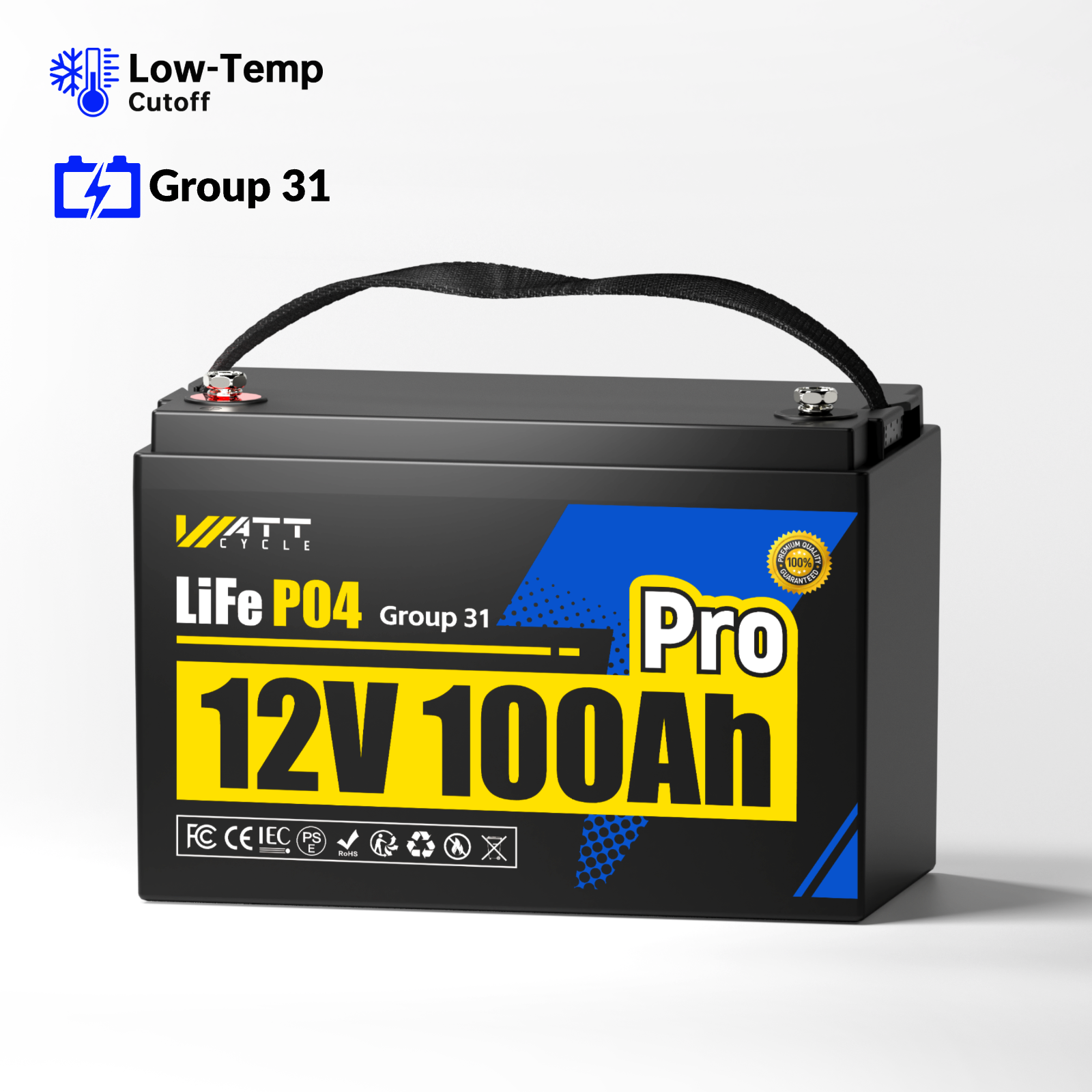 WattCycle 12V 100Ah LiFePO4 Battery (Group 24 / Group 31)