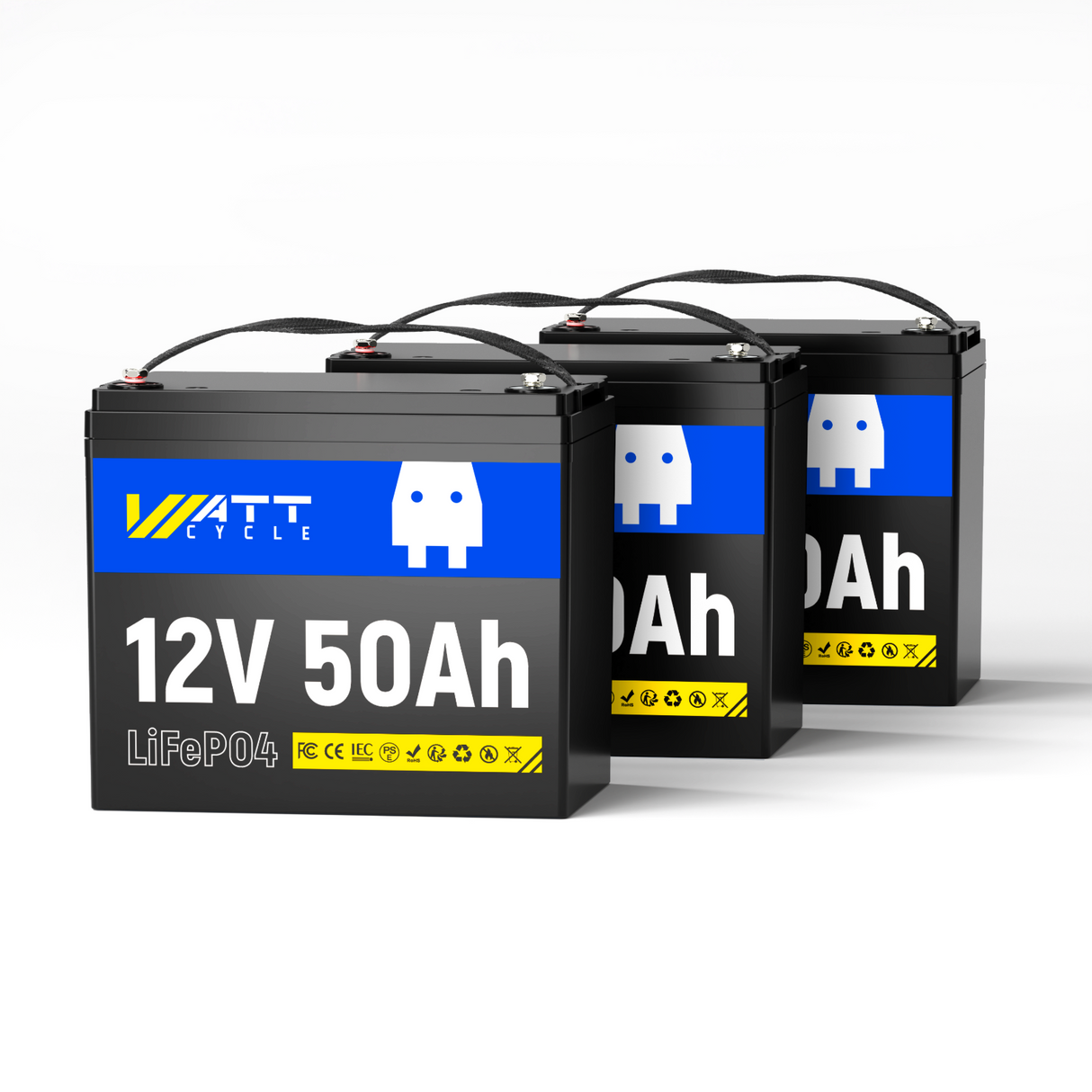 36V 50Ah Group U1  LiFePO4 Battery Set