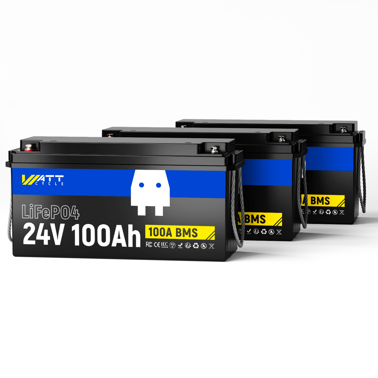 24V 100Ah LiFePO4 Battery