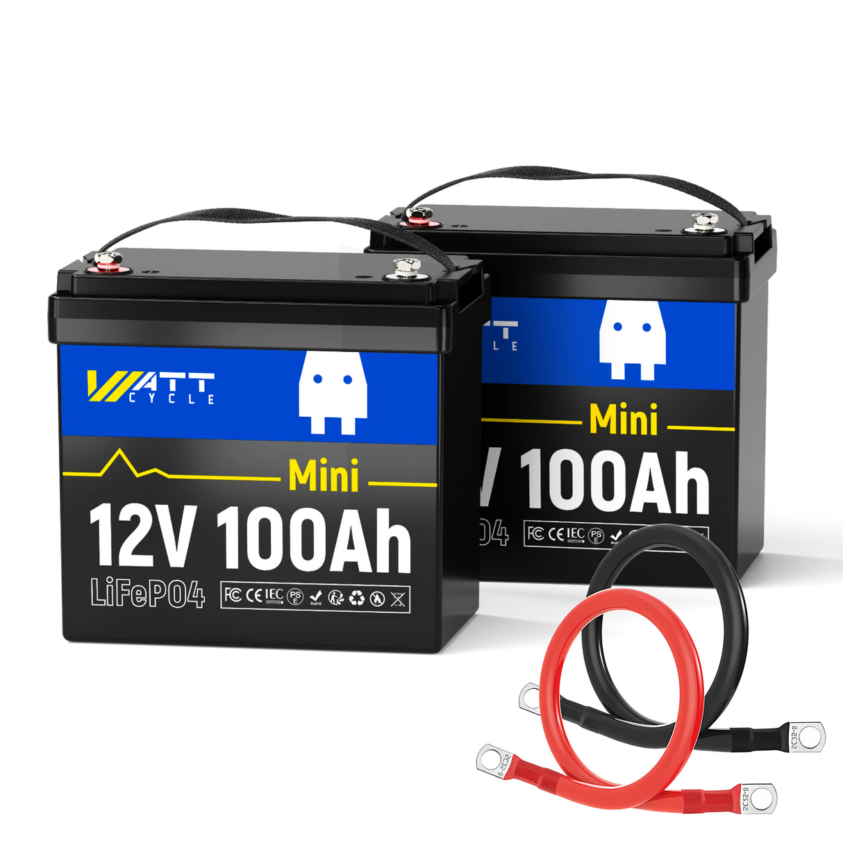 【Free Cable】12V 100Ah Mini LiFePO4 Battery Set