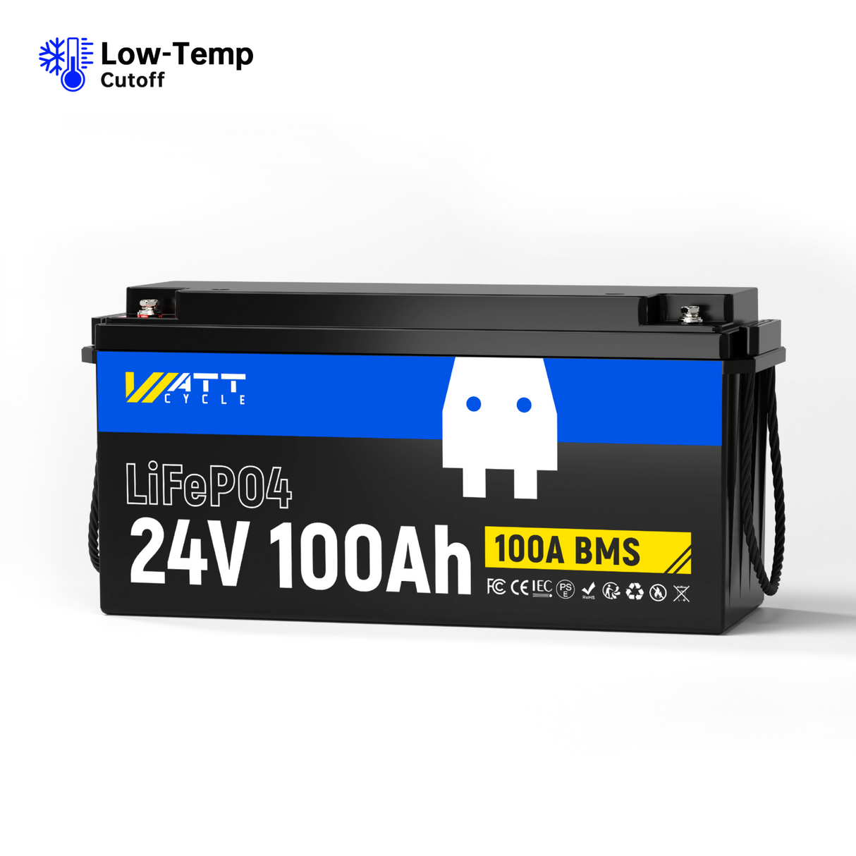 24V 100Ah LiFePO4 Battery