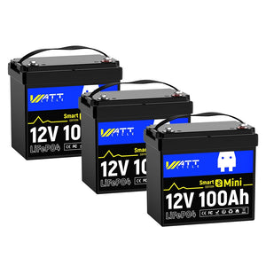 36V 100Ah Mini Smart Battery Set