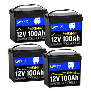 48V 100Ah Mini Smart Battery Set